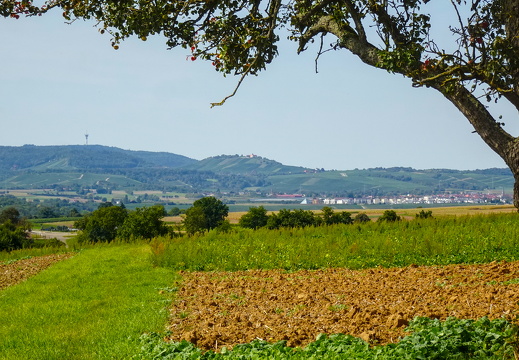 2025-09-07  13-44-37