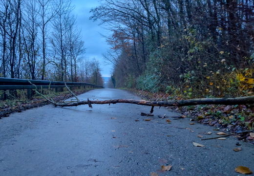 2025-11-25  07-26-23