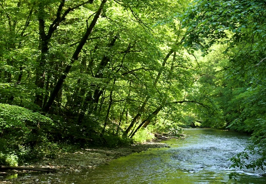 2013-06-08 um 11-30-17