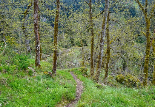 2024-05-03  13-27-10