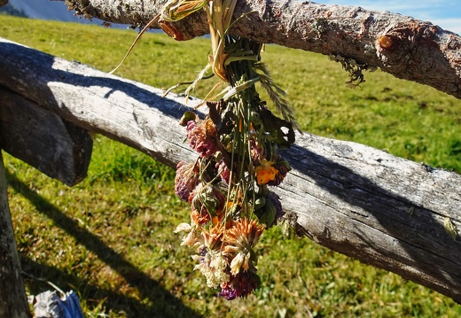 2023-10-03  11-26-43