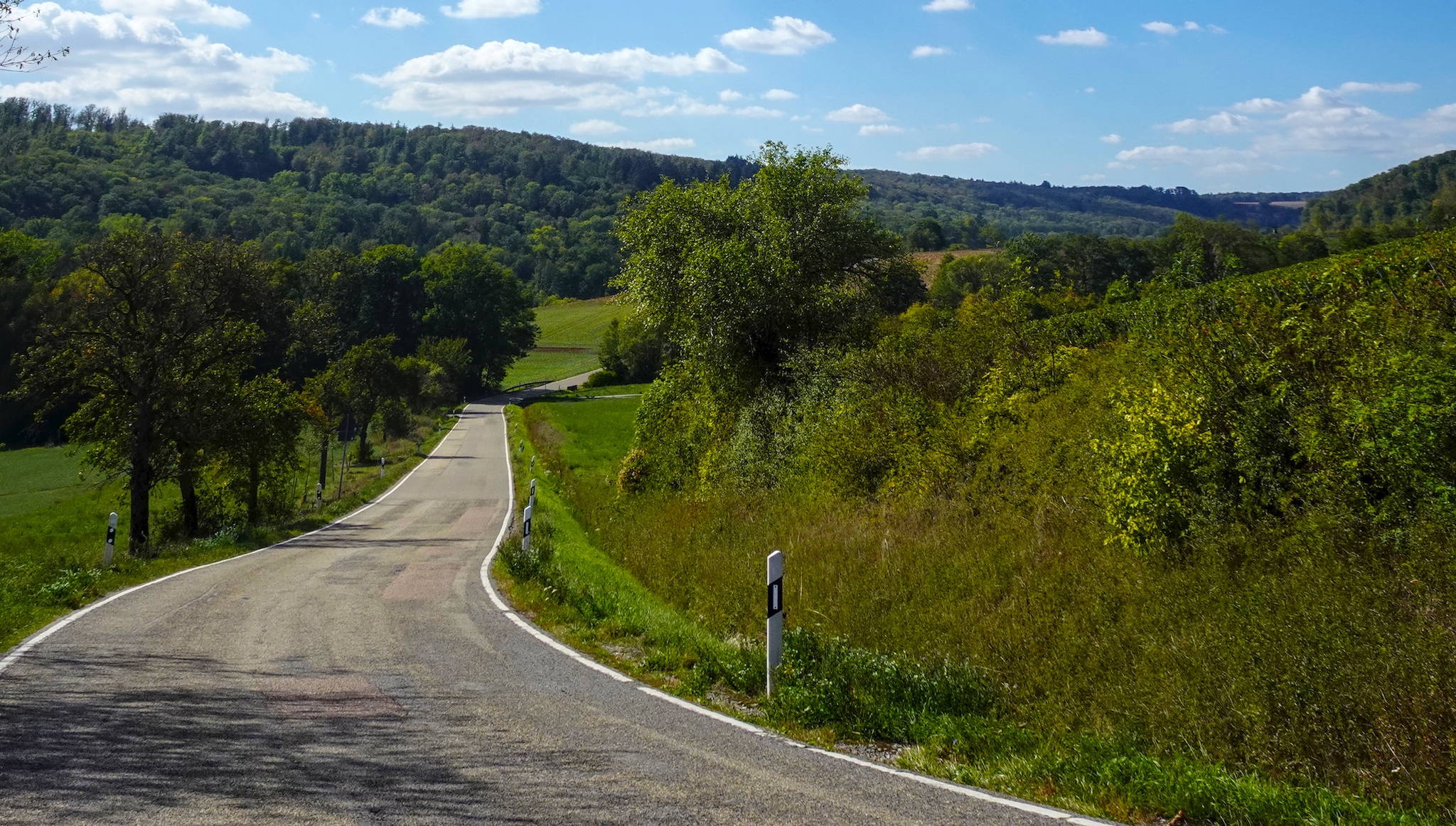 Radtour zum Kloster Maulbronn – Hier kurz nach Häfnerhaslach. Das Bild zeigt eine ländliche Asphaltstraße mit Leitpfosten, die durch eine hügelige, wald- und wiesenreiche Landschaft führt.