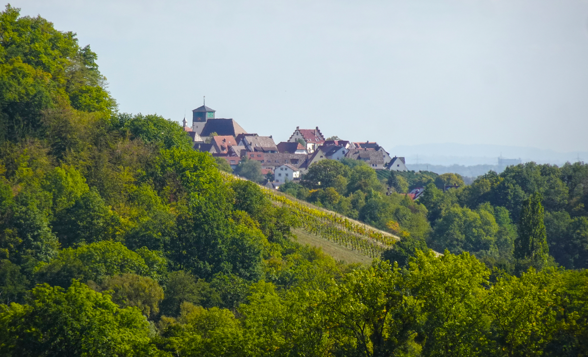 Radtour zum Kloster Maulbronn – Hier Hohenhaslach aus der Ferne gesehen (Feldweg bei Spielberg). Idyllisch zwischen bewaldeten Hügeln und Weinbergen gelegen.